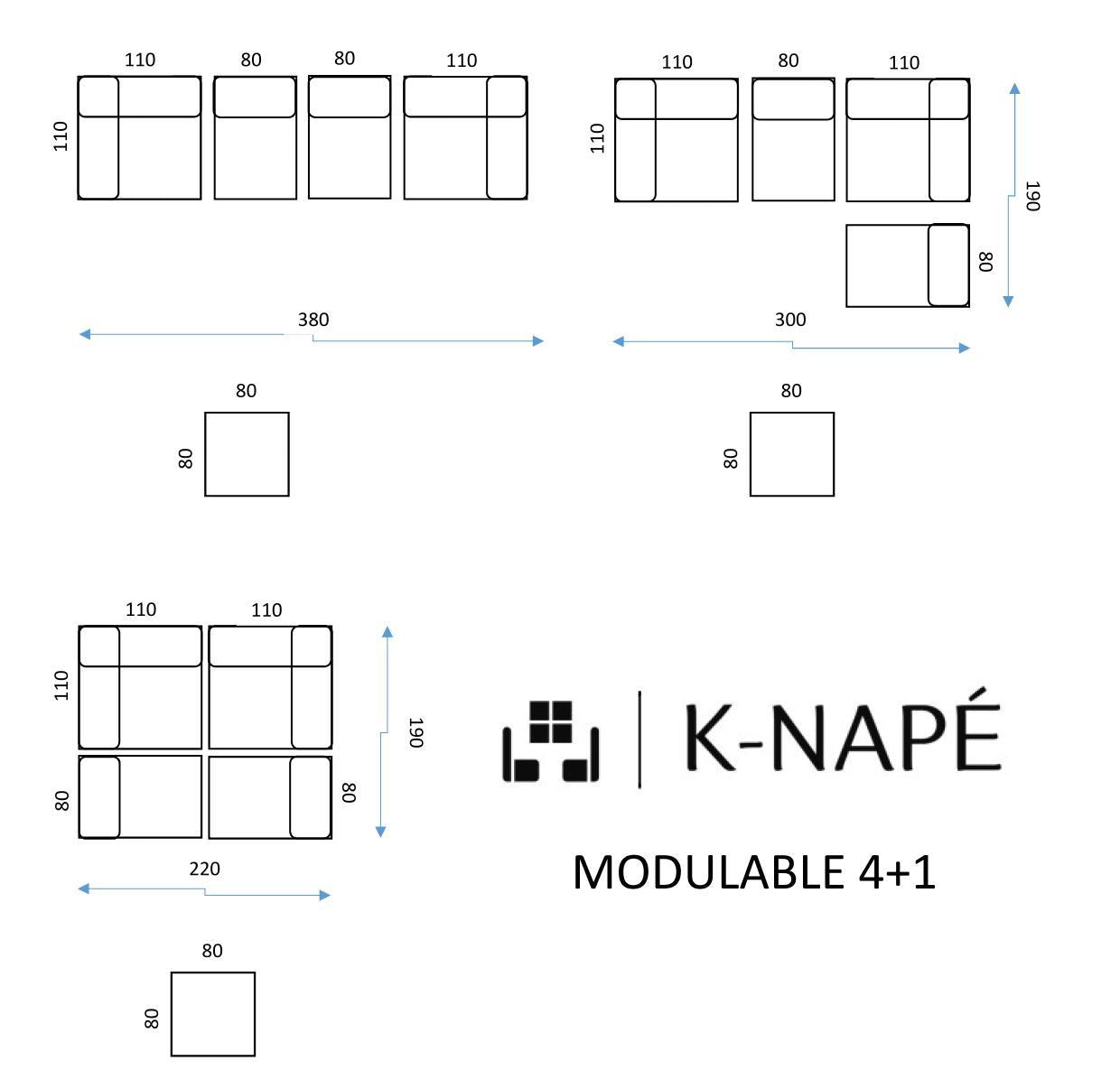 Modulo 4+1
