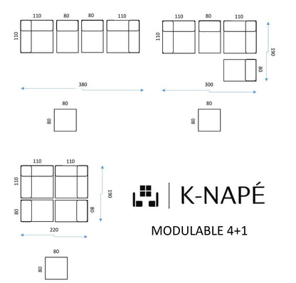 Modulo 4+1